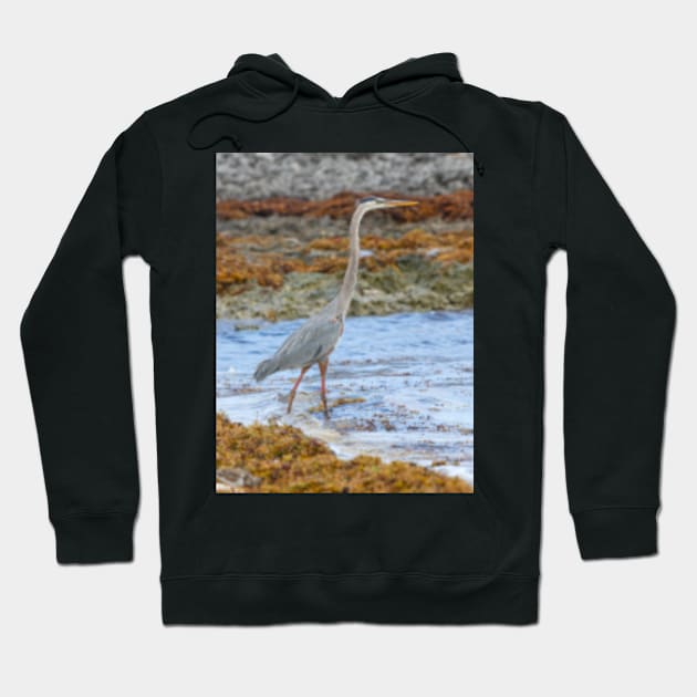 Cuban Heron Hoodie by Femaleform